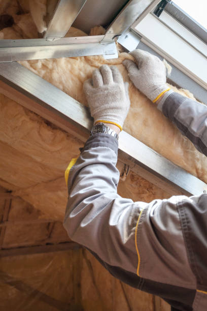 Best Insulation Installation Services in Sea Breeze, NC